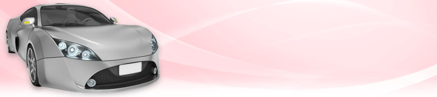 �����̐����I�炪�����������Ȃ��ԑI�т̕��@